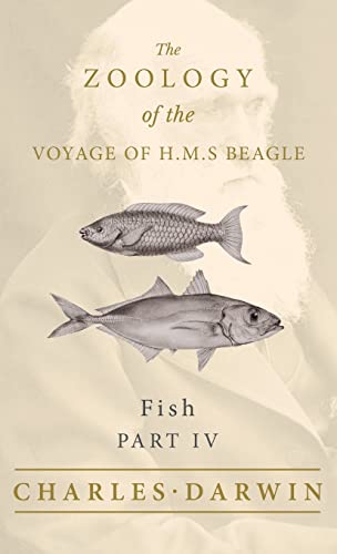 Fish - Part IV - The Zoology of the Voyage of H.M.S Beagle: Under the Command of Captain Fitzroy - During the Years 1832 to 1836