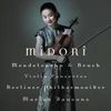 Midori Violinkonzert