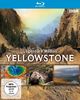 Yellowstone - Legendäre Wildnis [Blu-ray]