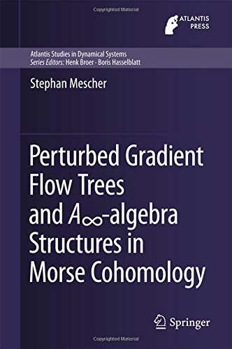 Perturbed Gradient Flow Trees and A∞-algebra Structures in Morse Cohomology (Atlantis Studies in Dynamical Systems, Band 6)