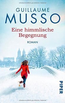 Eine himmlische Begegnung: Roman