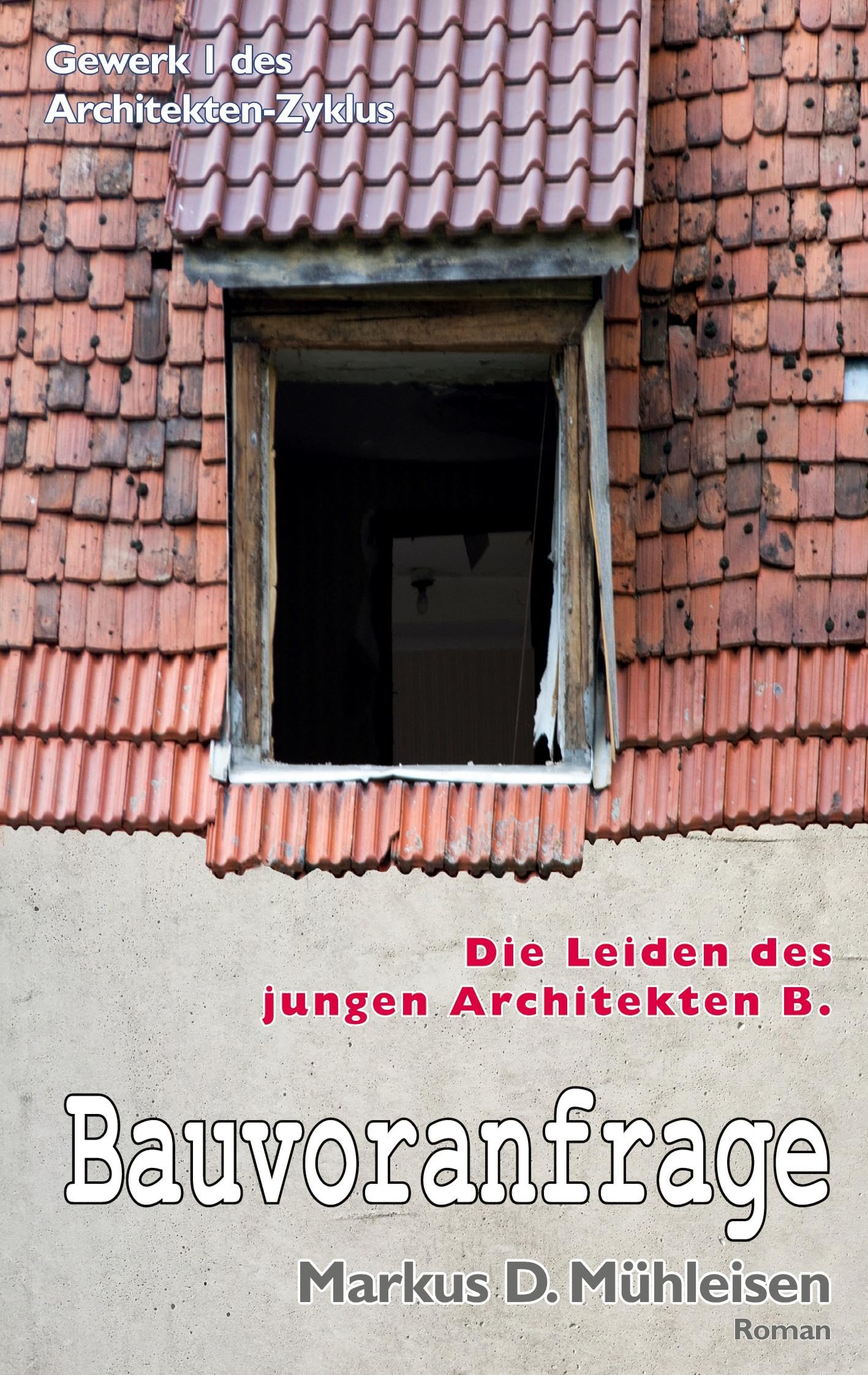 Bauvoranfrage: Die Leiden des jungen Architekten B. (Architekten-Zyklus)