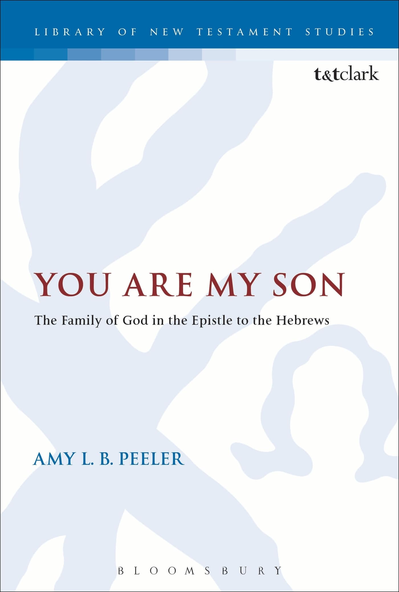 You Are My Son: The Family of God in the Epistle to the Hebrews (The Library of New Testament Studies, Band 486)