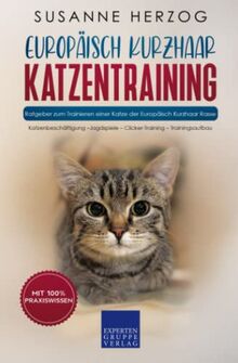 Europäisch Kurzhaar Katzentraining - Ratgeber zum Trainieren einer Katze der Europäisch Kurzhaar Rasse: Katzenbeschäftigung – Jagdspiele – Clicker-Training – Trainingsaufbau