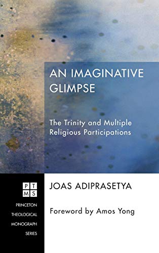 An Imaginative Glimpse: The Trinity and Multiple Religious Participations (Princeton Theological Monograph)