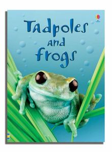 Tadpoles and Frogs (Usborne Beginners)