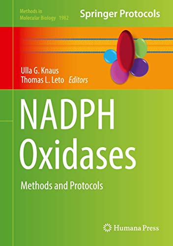 NADPH Oxidases: Methods and Protocols (Methods in Molecular Biology, 1982, Band 1982)