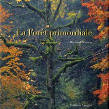 La forêt primordiale