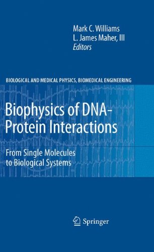 Biophysics of DNA-Protein Interactions: From Single Molecules to Biological Systems (Biological and Medical Physics, Biomedical Engineering)