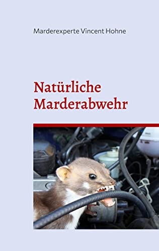 Natürliche Marderabwehr: Schützt zuverlässig Heim und Auto