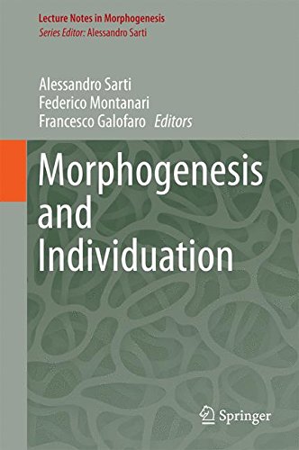 Morphogenesis and Individuation (Lecture Notes in Morphogenesis)