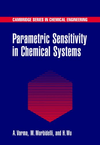 Parametric Sensitivity Chemical Sys (Cambridge Series in Chemical Engineering)