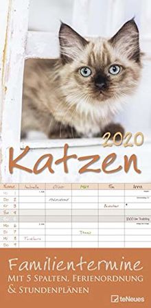 Katzen 2020 Familienplaner