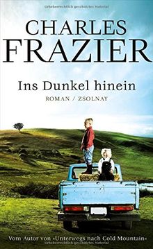 Ins Dunkel hinein: Roman