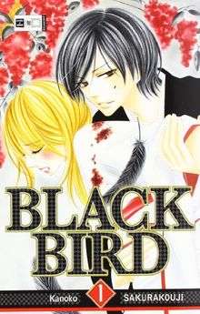 Black Bird 01