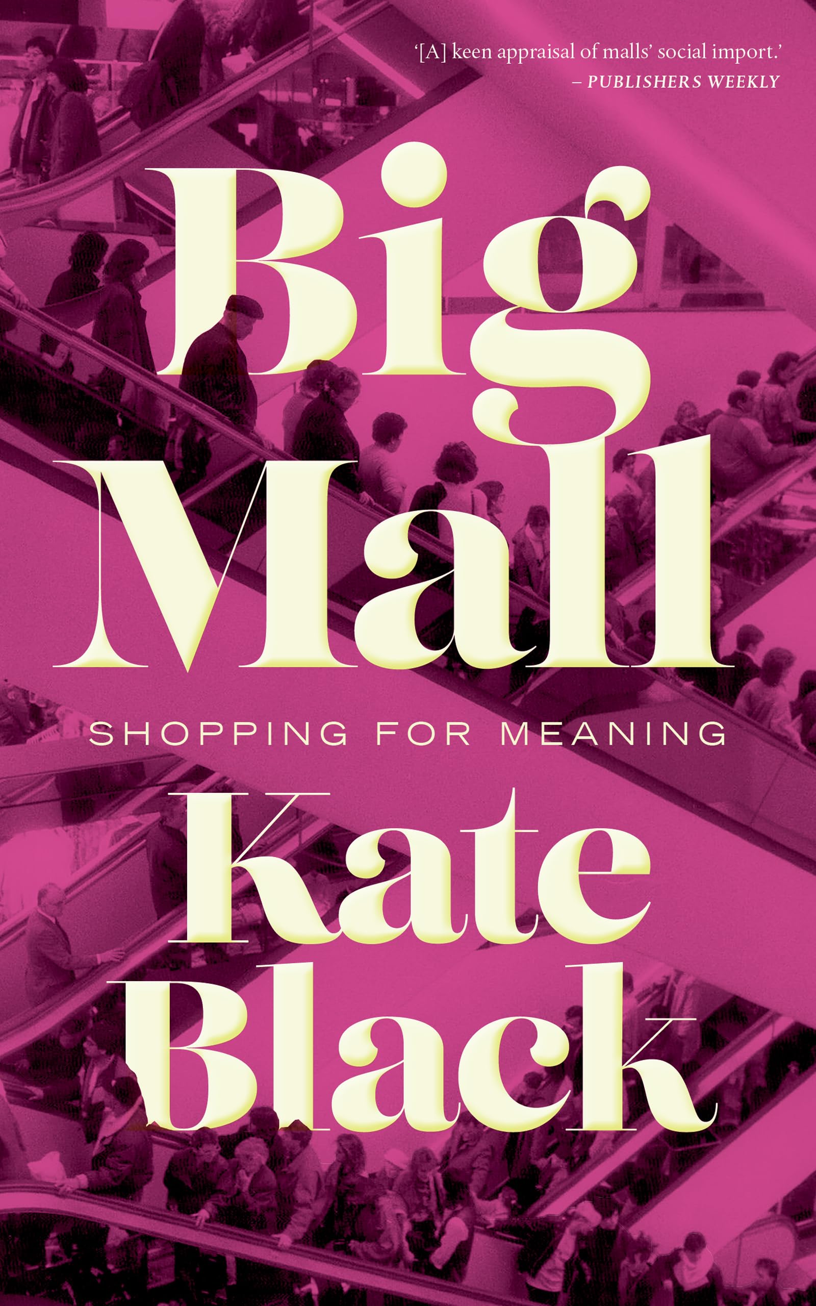 Big Mall: Shopping for the Meaning