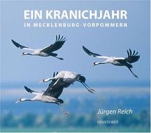 Ein Kranichjahr in Mecklenburg-Vorpommern