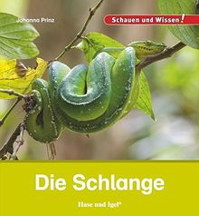 Die Schlange: Schauen und Wissen!