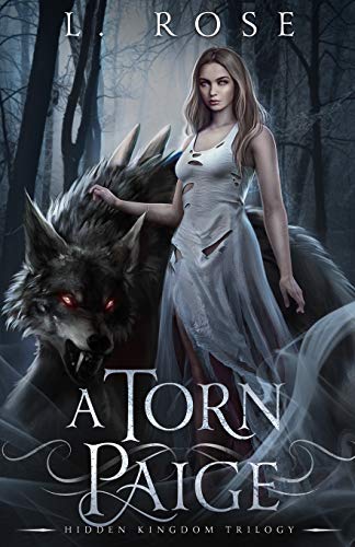 A Torn Paige (Hidden Kingdom Trilogy, Band 1)