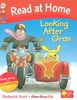 Read at Home: 4a: Looking After Gran Book + CD (Read at Home Level 4a)