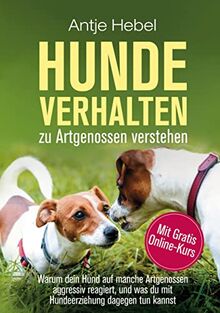 Hundeverhalten zu Artgenossen verstehen: Warum dein Hund auf manche Artgenossen aggressiv reagiert, und was du mit Hundeerziehung dagegen tun kannst