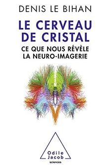 Le cerveau de cristal : ce que nous révèle la neuro-imagerie