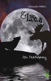 Elias: Die Entführung - Krimi, Kinderkrimi, Skandinavien, Entführung, Tierliebe,