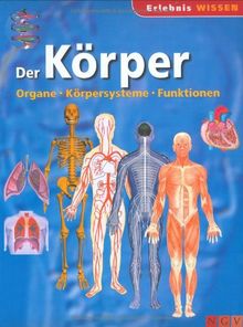 Der Körper: Organe, Körpersysteme, Funktionen