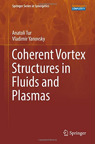 Coherent Vortex Structures in Fluids and Plasmas (Springer Series in Synergetics)