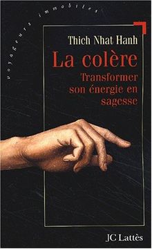 La colère : transformer son énergie en sagesse