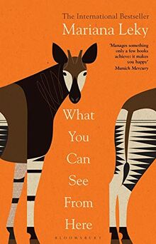 What You Can See From Here: The 'warm and curious' bestselling phenomenon