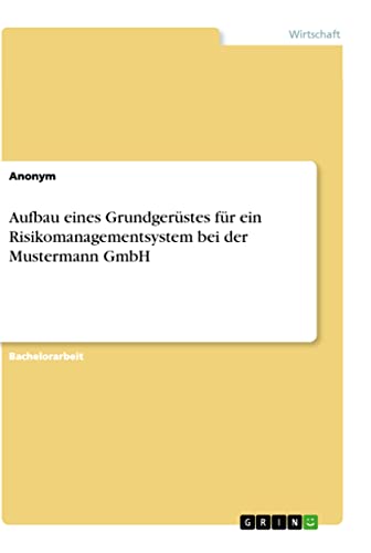 Aufbau eines Grundgerüstes für ein Risikomanagementsystem bei der Mustermann GmbH