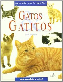 Gatos y gatitos