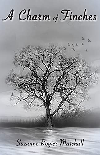 Oelder Buchhandlung – Lange Str, 59302 Oelde