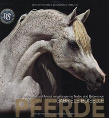 Pferde. Temperament und Anmut