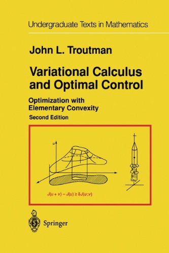 Variational Calculus and Optimal Control: Optimization with Elementary Convexity (Undergraduate Texts in Mathematics)