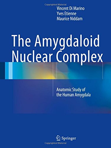 The Amygdaloid Nuclear Complex: Anatomic Study of the Human Amygdala