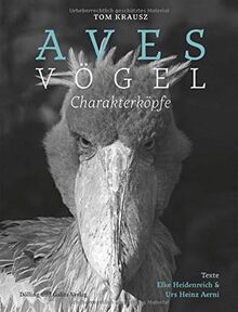 Aves | Vögel. Charakterköpfe