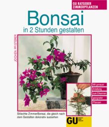 Bonsai in 2 Stunden gestalten