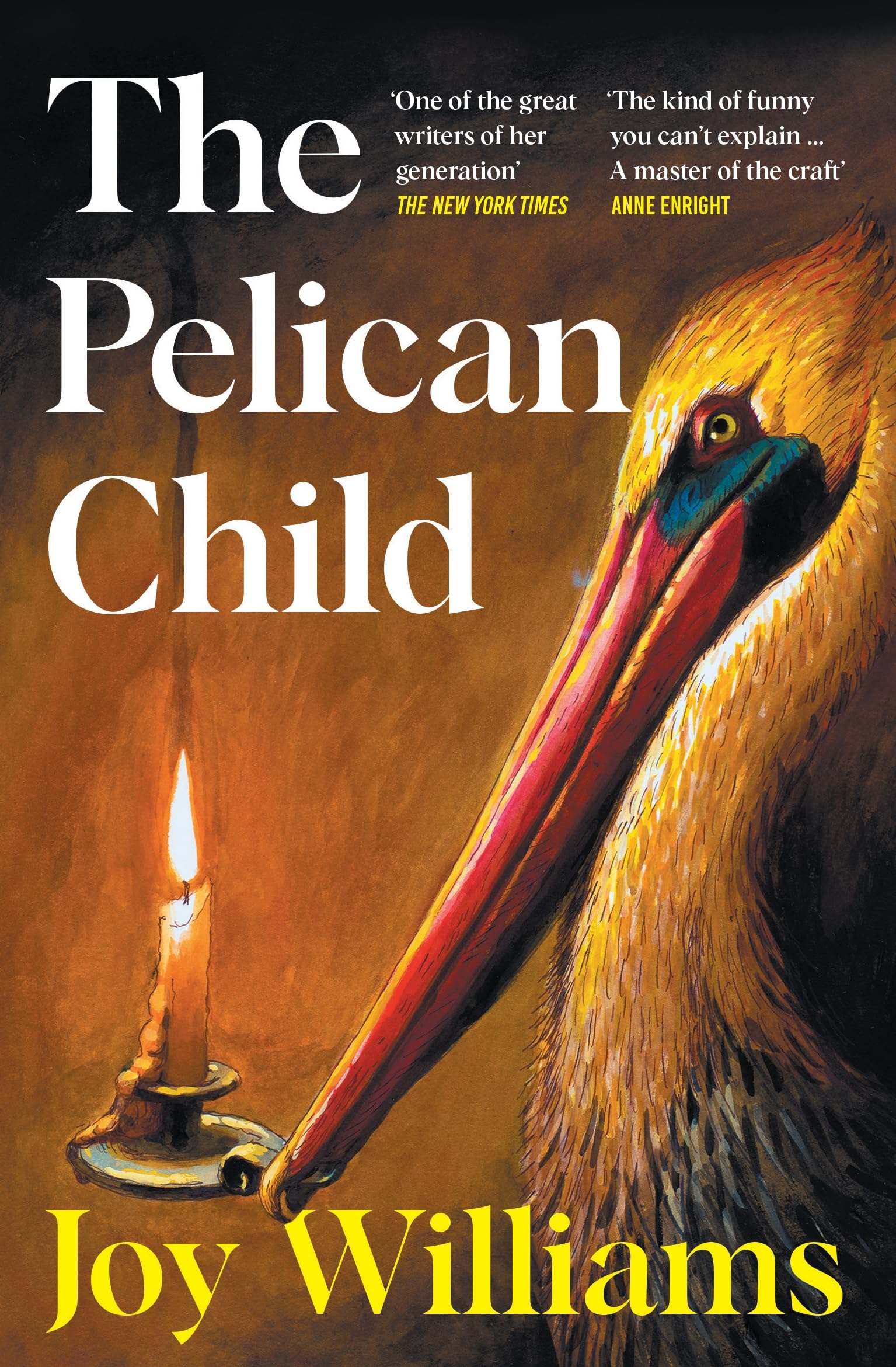 The Pelican Child: Longlisted for the 2025 National Book Award