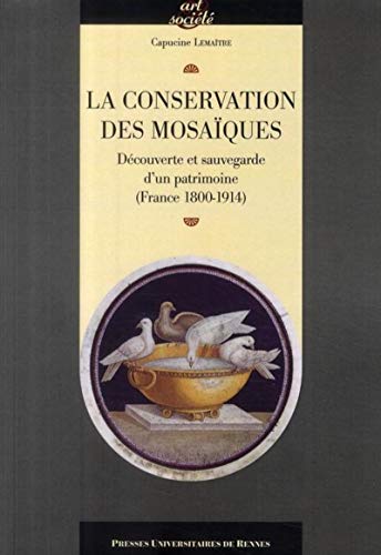 Conservation Des Mosaiques