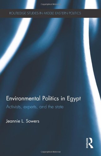 Environmental Politics in Egypt: Activists, Experts and the State (Routledge Studies in Middle Eastern Politics)