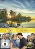 Inga Lindström Collection 8 [3 DVDs]