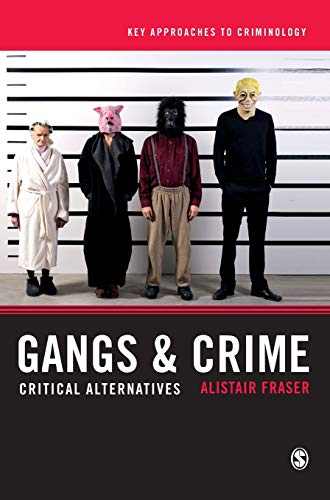 Gangs & Crime: Critical Alternatives (Key Approaches to Criminology, Band 1)