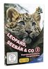 Leopard, Seebär & Co. 2 [4 DVDs]