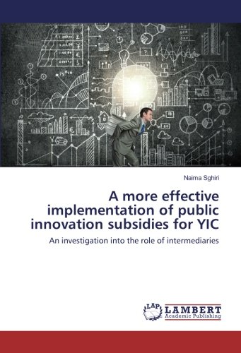 A more effective implementation of public innovation subsidies for YIC: An investigation into the role of intermediaries