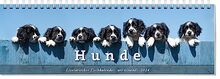 Literarischer Tischkalender Hunde 2024: Terminplaner mit Fotografien und Zitaten