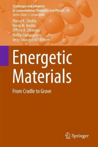 Energetic Materials: From Cradle to Grave (Challenges and Advances in Computational Chemistry and Physics, Band 25)