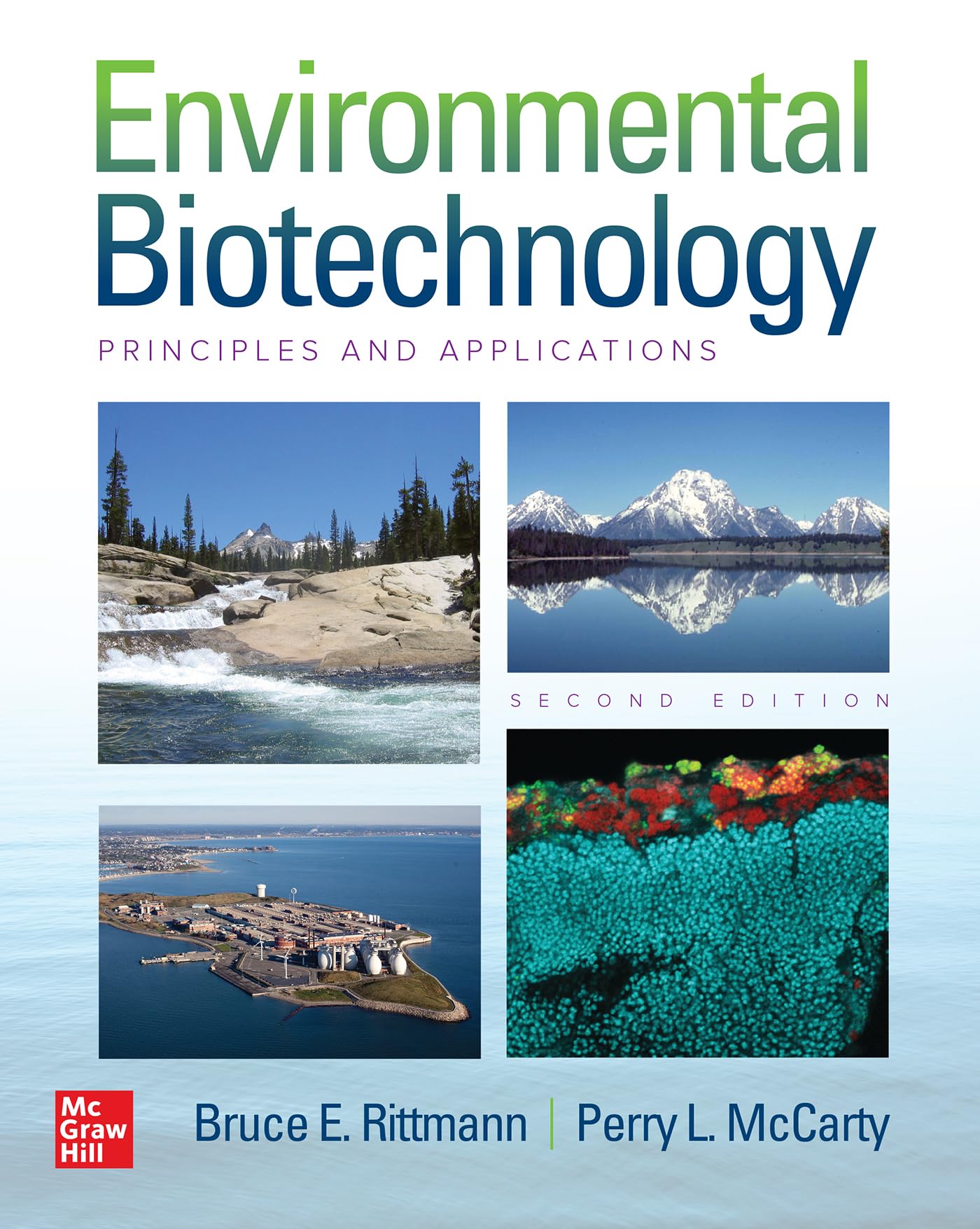 Environmental Biotechnology: Principles and Applications, Second Edition (Scienze)