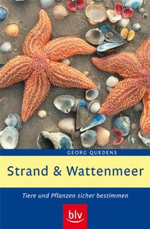 Strand und Wattenmeer: Tiere und Pflanzen sicher bestimmen